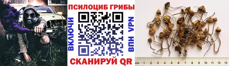 Галлюциногенные грибы GOLDEN TEACHER  Купить закладки  Саянск 